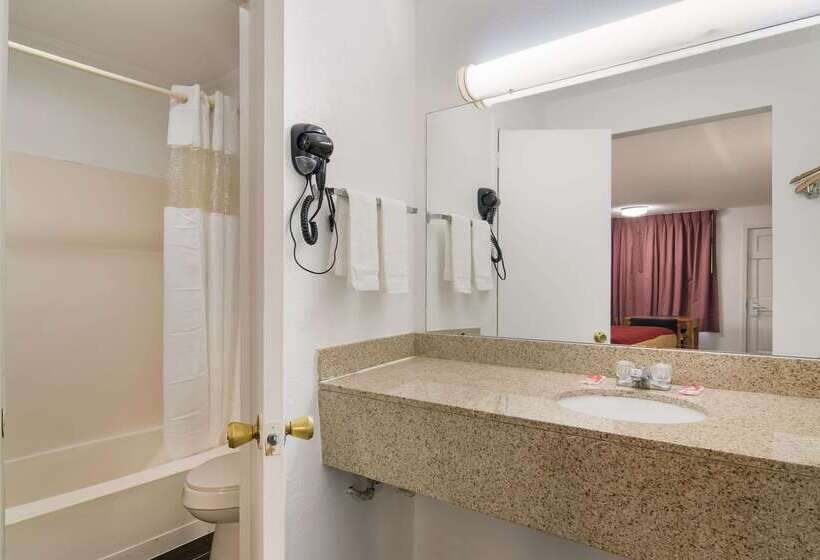 酒店 Econo Lodge Calhoun North Damascus