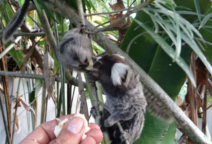 בית מלון כפרי Eliconial Paraty Pousada