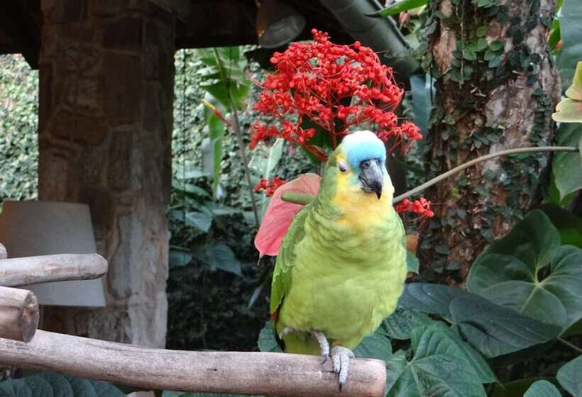 בית מלון כפרי Eliconial Paraty Pousada