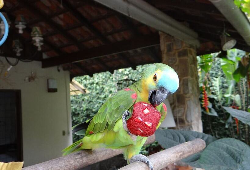 בית מלון כפרי Eliconial Paraty Pousada