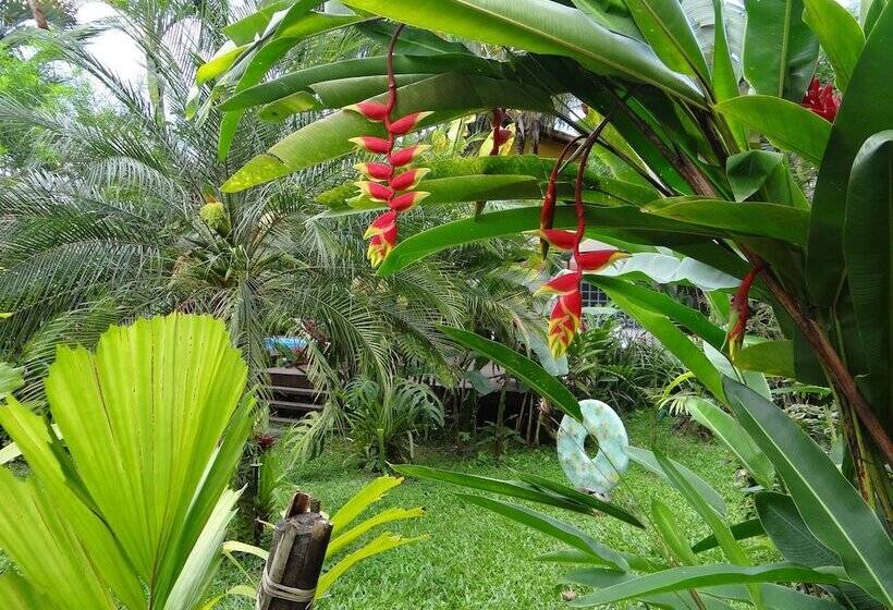 בית מלון כפרי Eliconial Paraty Pousada