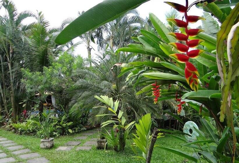 בית מלון כפרי Eliconial Paraty Pousada