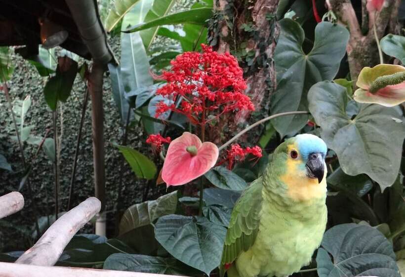 בית מלון כפרי Eliconial Paraty Pousada