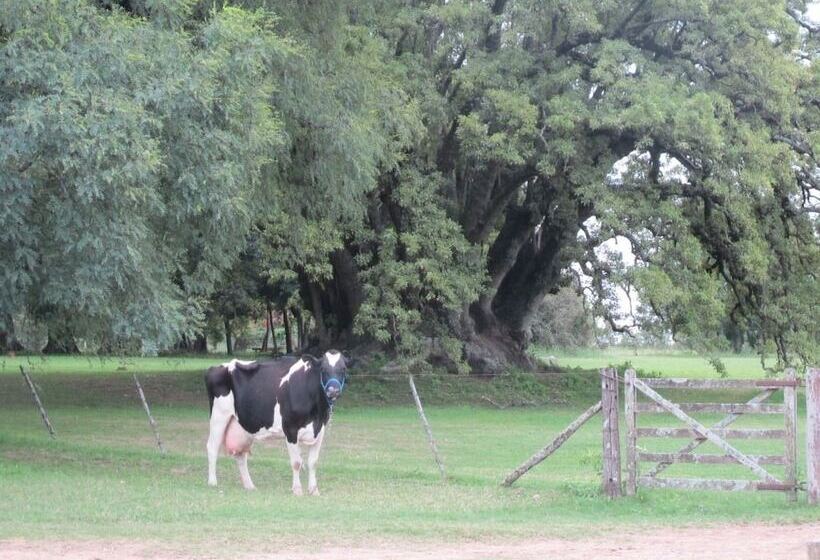ホテル Estancia La Porteña De Areco