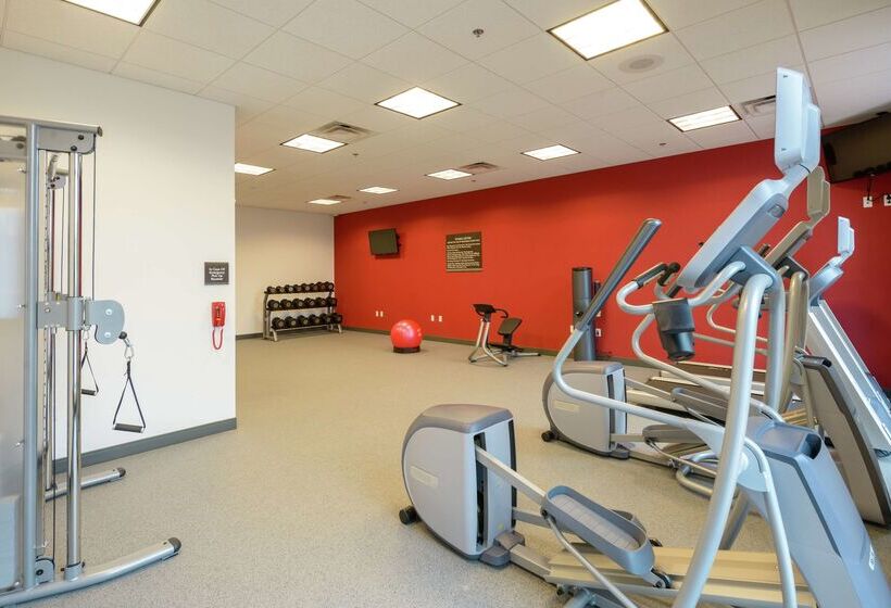 ホテル Hilton Garden Inn Exton / West Chester