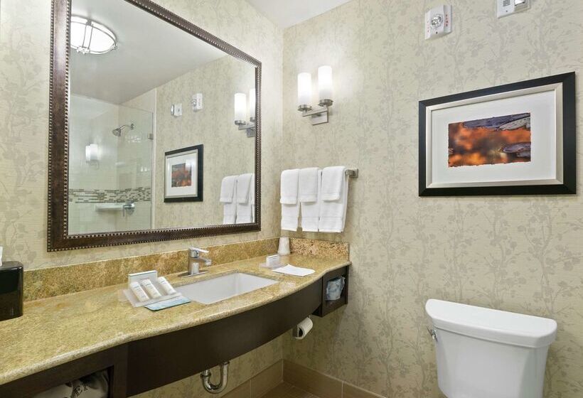 בית מלון כפרי Hilton Garden Inn Lawton Fort Sill