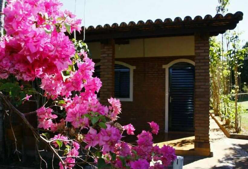 酒店 Holiday House