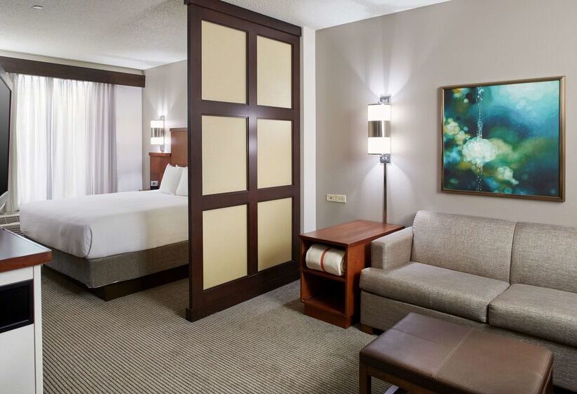 Отель Hyatt Place Grand Rapids South