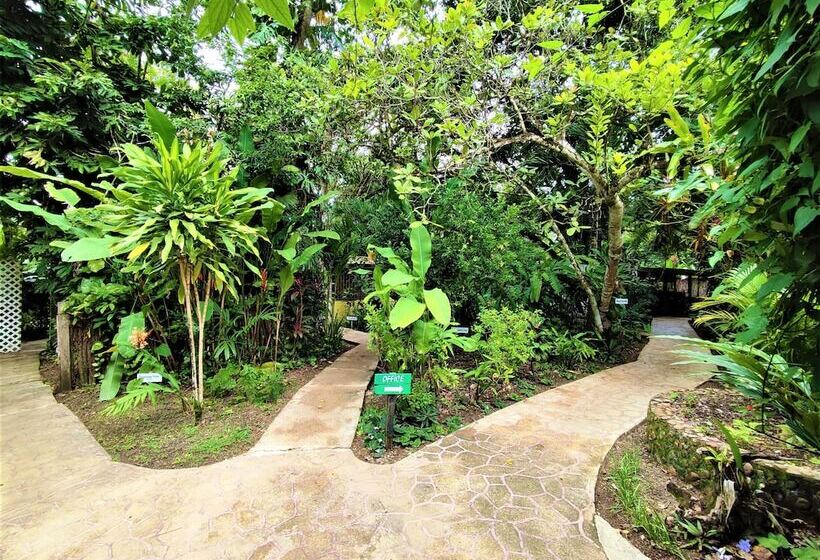 酒店 Maya Mountain Lodge