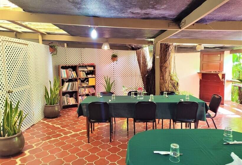 酒店 Maya Mountain Lodge