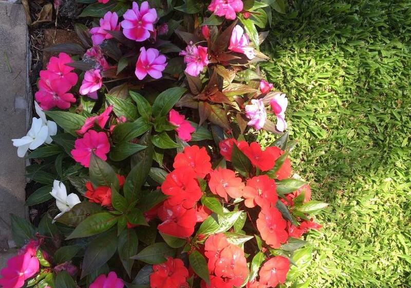 Отель Monte Felice Bosque