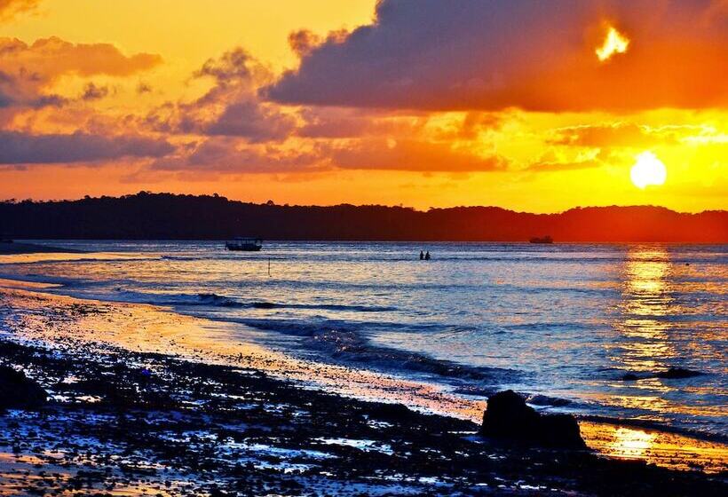 호텔 Papagaio Hostel & Pousada