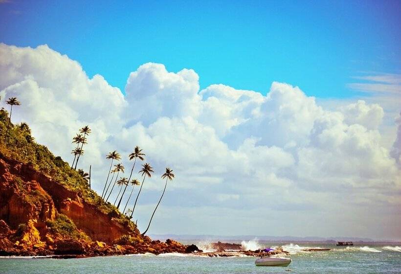 호텔 Papagaio Hostel & Pousada