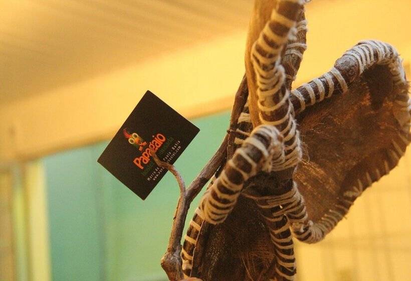 호텔 Papagaio Hostel & Pousada