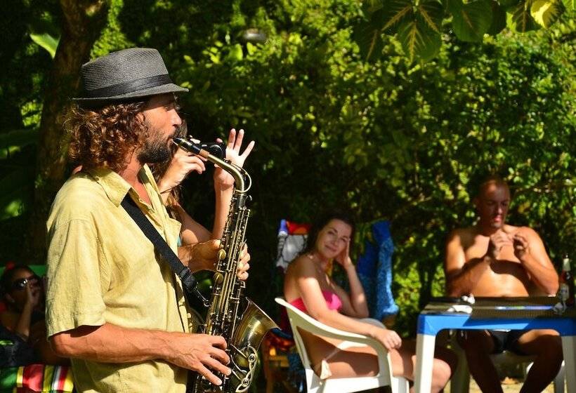 호텔 Papagaio Hostel & Pousada