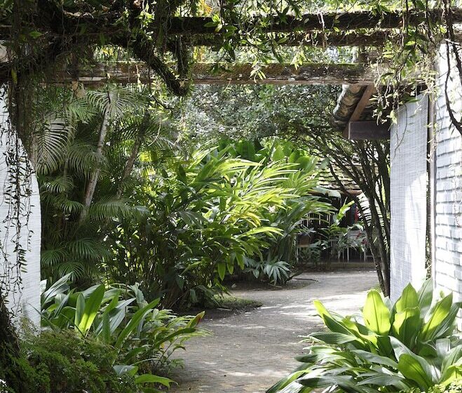 酒店 Pousada Capim Santo