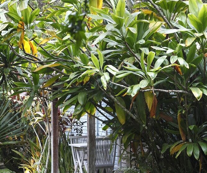 호텔 Pousada Capim Santo