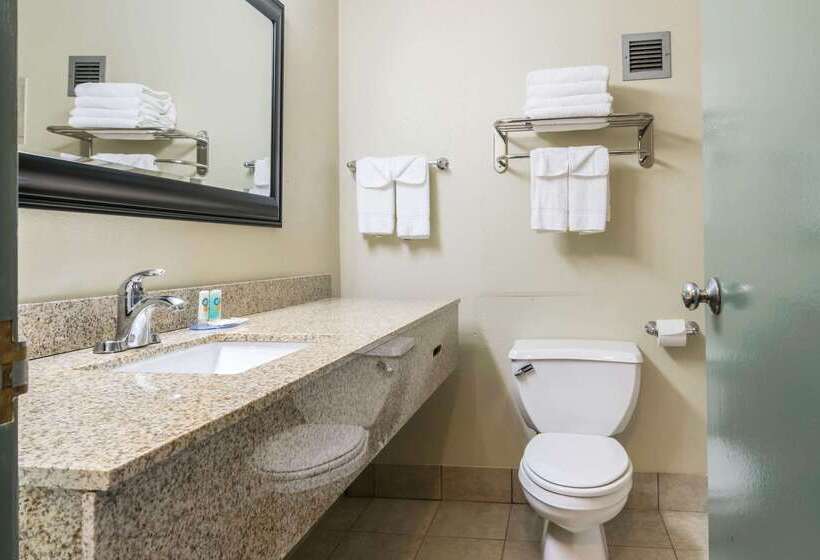 Отель Quality Inn & Suites