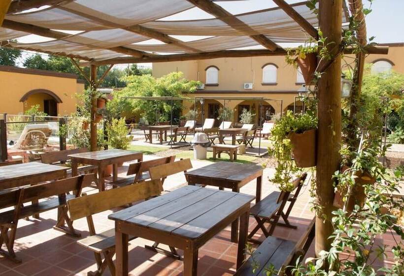 فندق Y Spa San Carlos