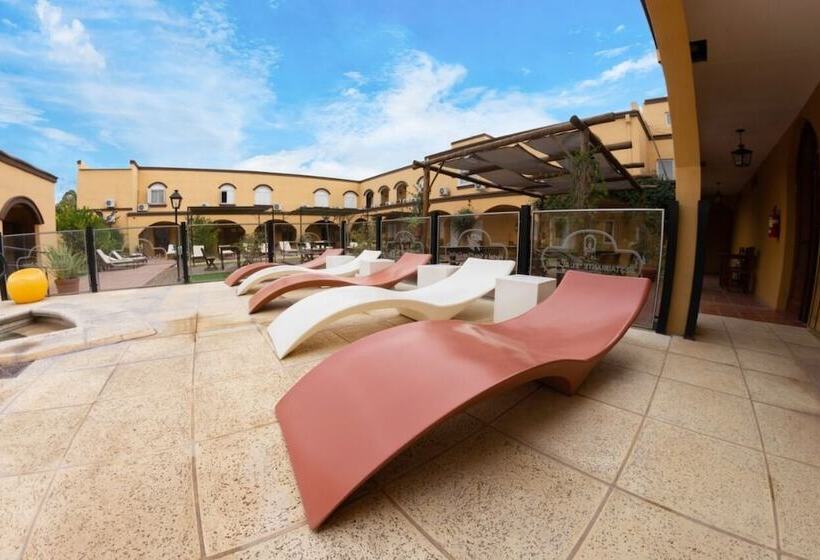 فندق Y Spa San Carlos