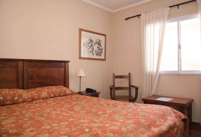 فندق Y Spa San Carlos