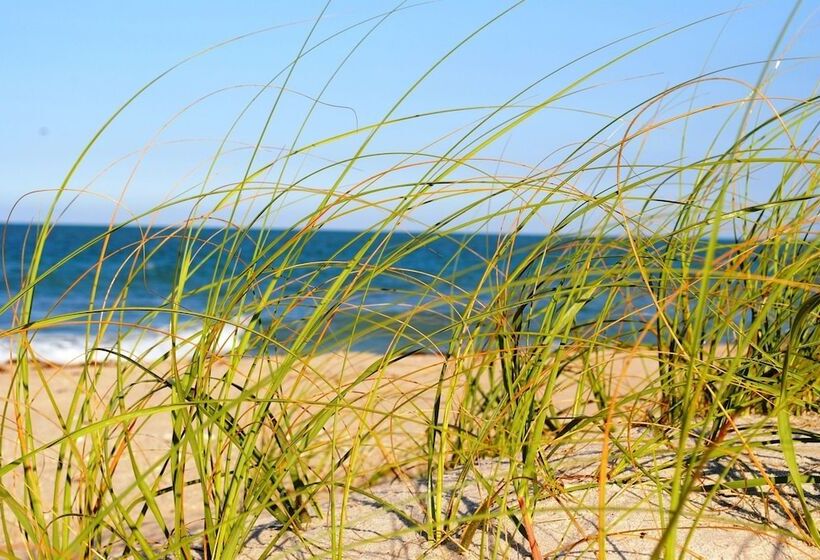 فندق Seaspray Surf Lodge