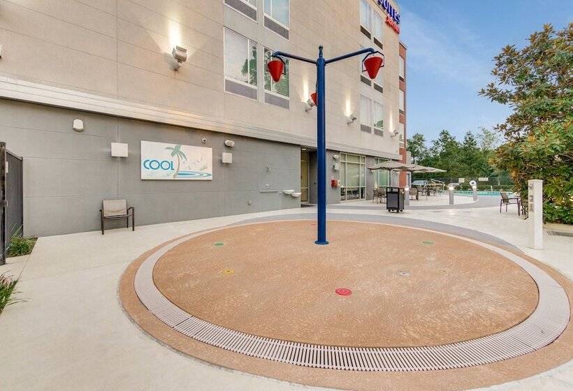 فندق Springhill Suites By Marriott Houston The Woodlands