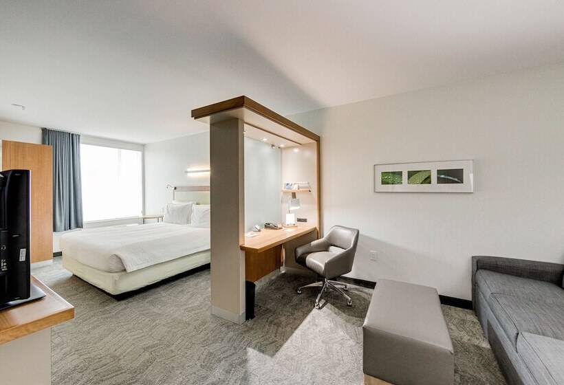 فندق Springhill Suites By Marriott Houston The Woodlands