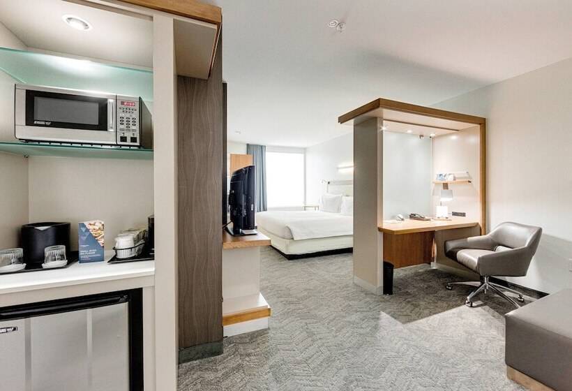 فندق Springhill Suites By Marriott Houston The Woodlands