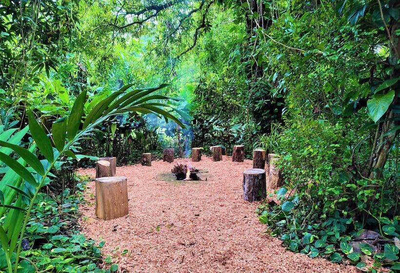 酒店 Maya Mountain Lodge