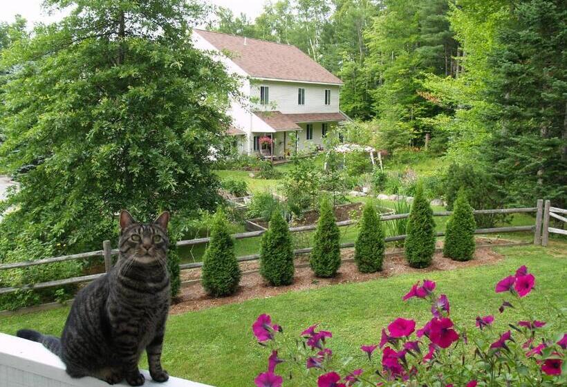 فندق Wilson Lake Inn