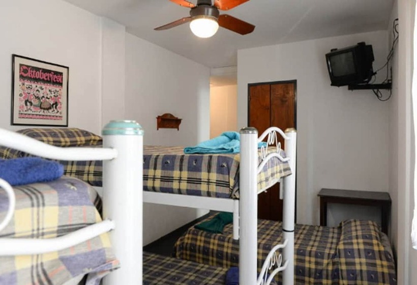 Mediterranea Hostel Cordoba