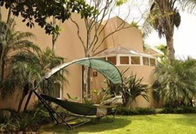 پانسیون Crane's Nest Guest House & Spa @ 313