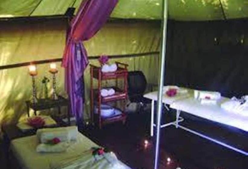 膳宿费 Crane's Nest Guest House & Spa @ 313