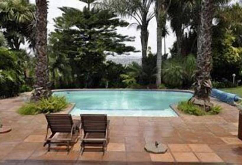 膳宿费 Crane's Nest Guest House & Spa @ 313