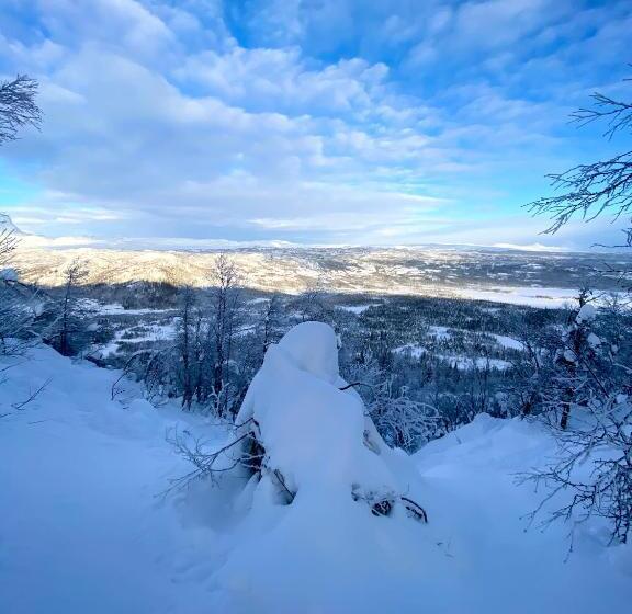 Bjødnabakkvegens Fjellutsikt