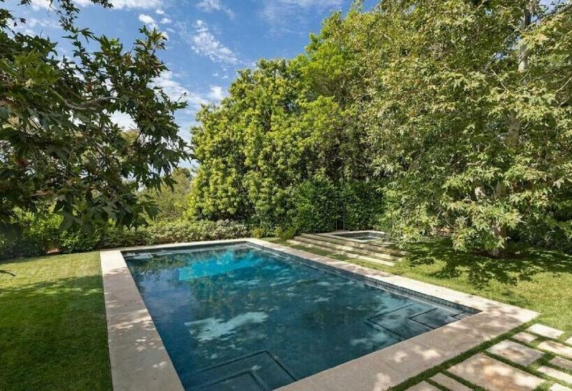 Grounds With The Most Spectacular Specimen Trees, Sycamores And Oaks