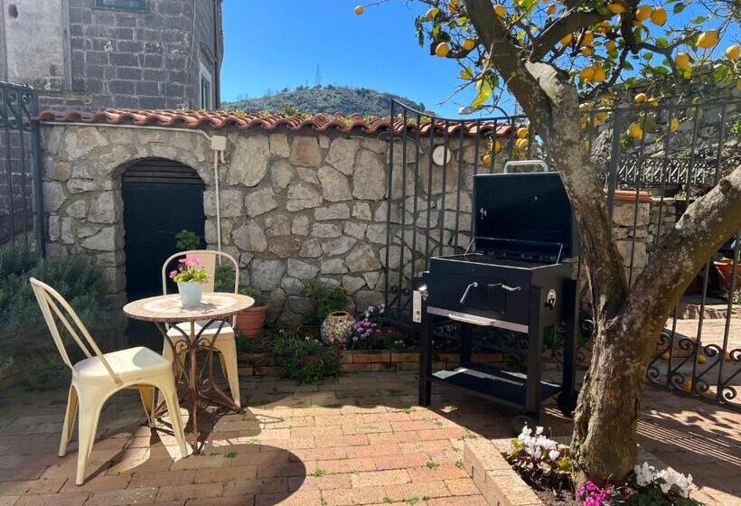 Jamm Suite   Two Room Apartment With Ensuite Whirlpool Tub