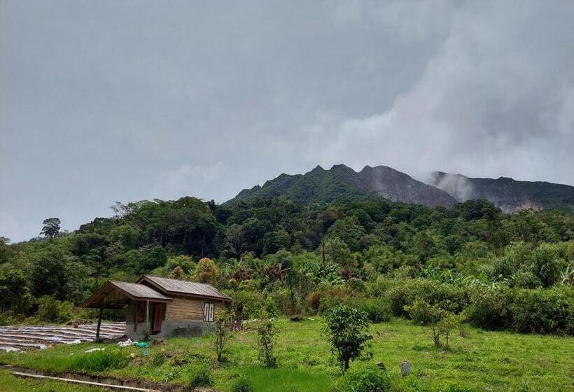 Orangutan Orchard Bungalow & Eco Jungle Trekking Activity