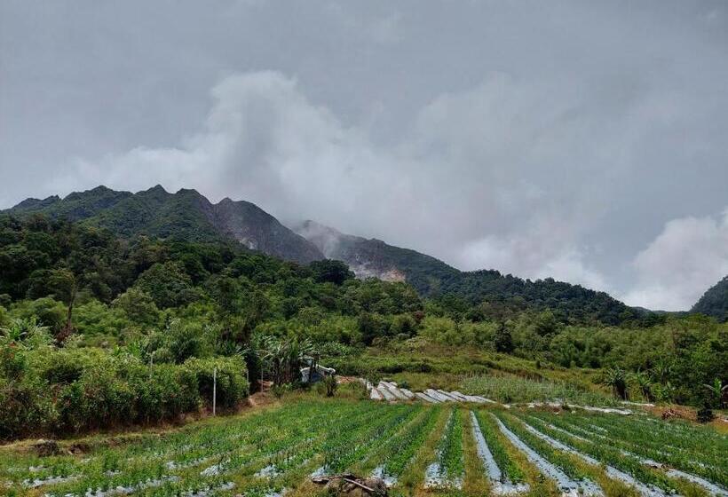 Orangutan Orchard Bungalow & Eco Jungle Trekking Activity