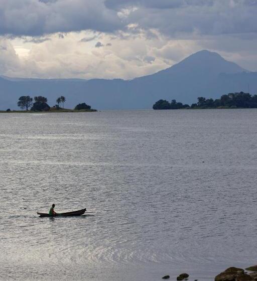 Orangutan Orchard Bungalow & Eco Jungle Trekking Activity