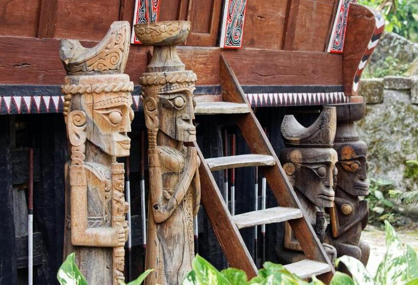 Orangutan Orchard Bungalow & Eco Jungle Trekking Activity