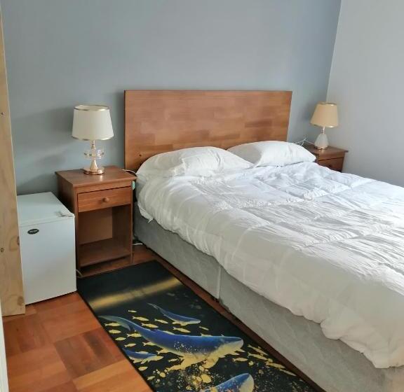 פנסיון Hostal Suzi