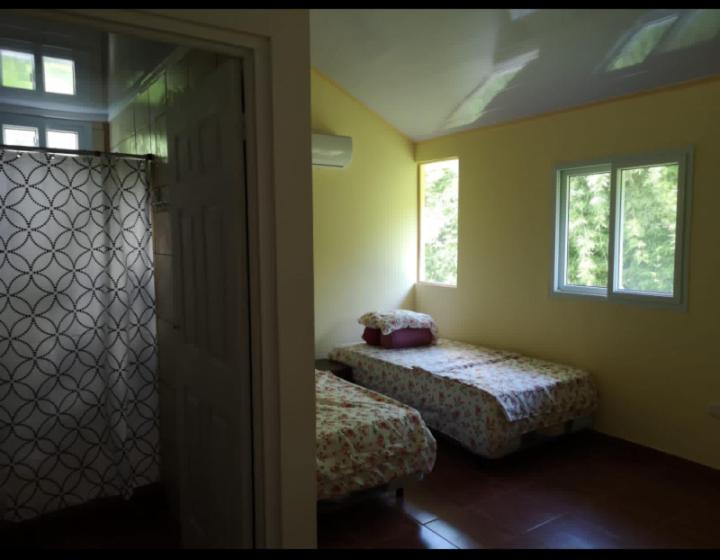 بنسيون Lil Lost