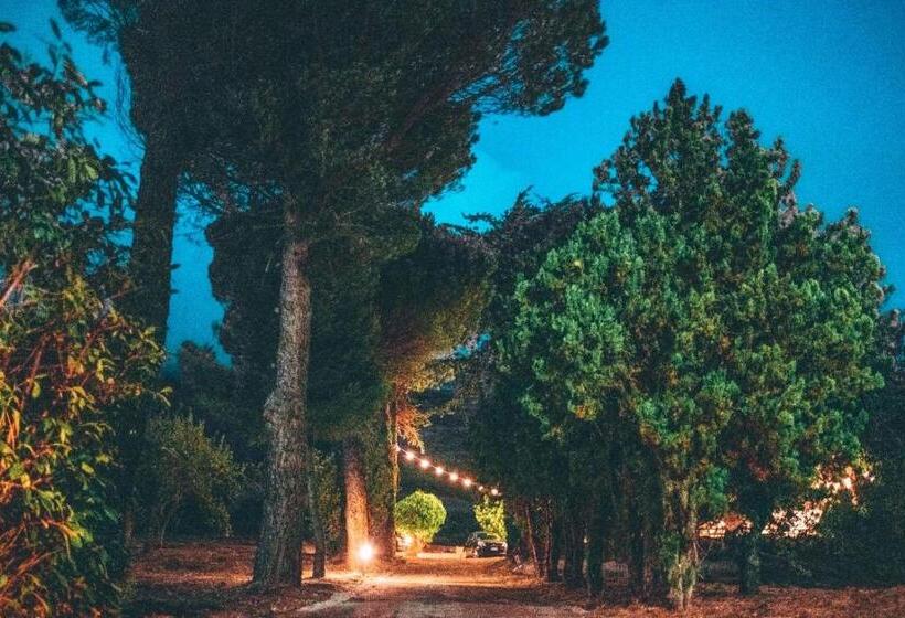 Agri Home Restaurant B&b Villa Ada