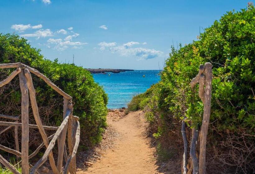 Apartamento A 2 Minutos De Playa