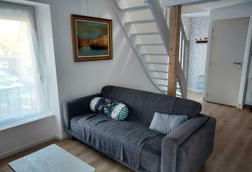 Appartement Duplex Très Lumineux En Centre Ville