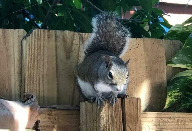 Aqua Studio 5 Min To Beach