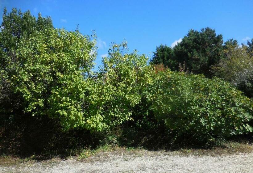 Bed and Breakfast La Madriguera Accommodation