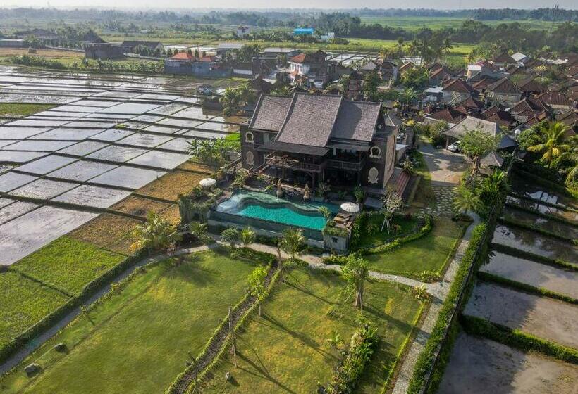 בית מלון כפרי Royal Roco